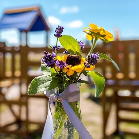 Pirat * Гонски